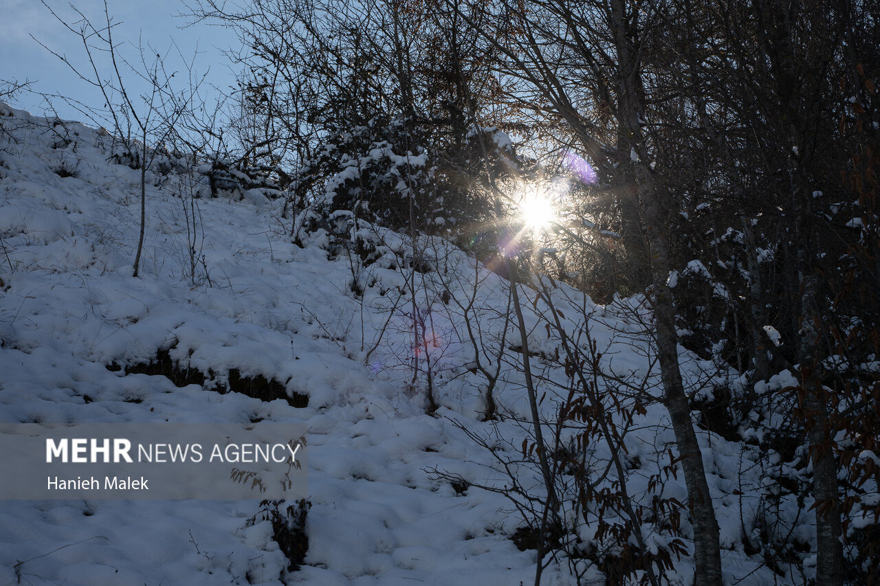 تصاویری از بارش شدید برف به همراه کولاک در مناطق مختلف آذربایجان غربی