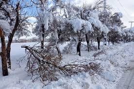 کشاورزان یخبندان مزارع را جدی بگیرند