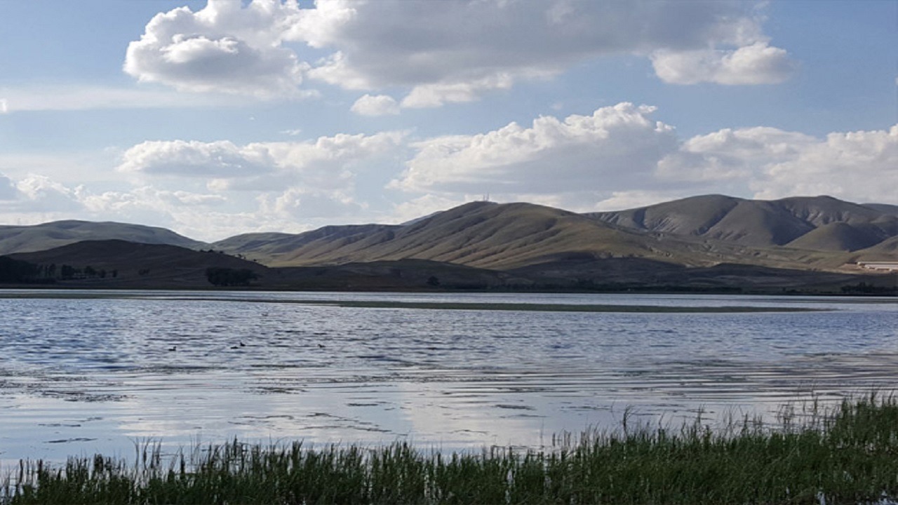 ضرورت تامین فوری حقابه تالاب بین‌المللی قوریگل