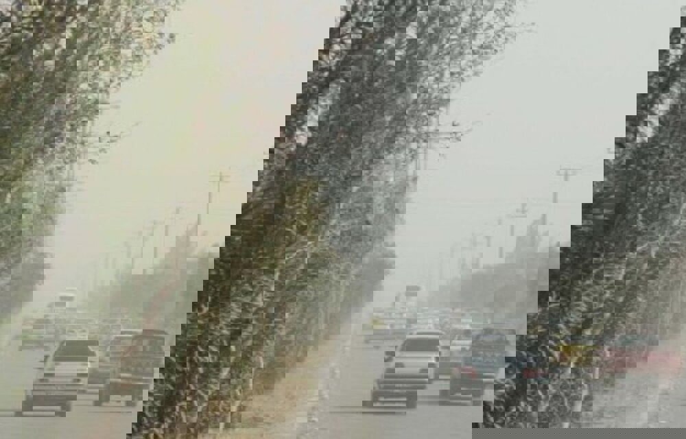 کوهی:سرعت وزش باد در اردبیل به ۹۰ کیلومتر برساعت رسید