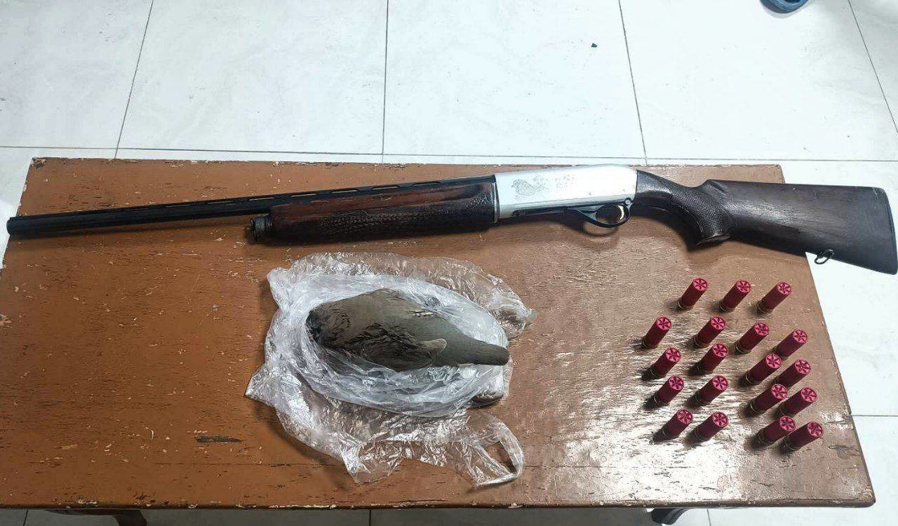 شکارچی غیرمجاز در چالدران با اسلحه قاچاق دستگیر شد