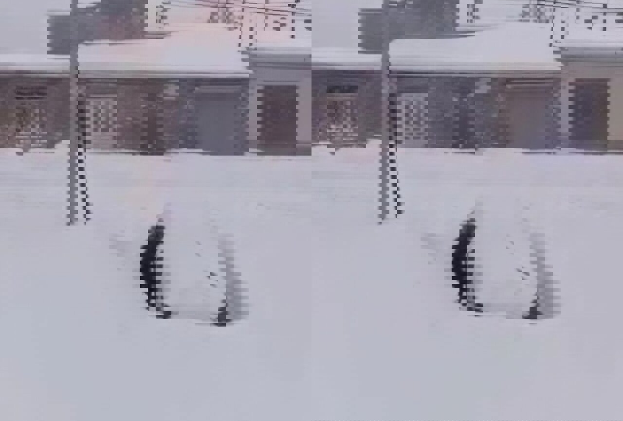 روستای گنبرف زیر یک متر برف فرو رفت