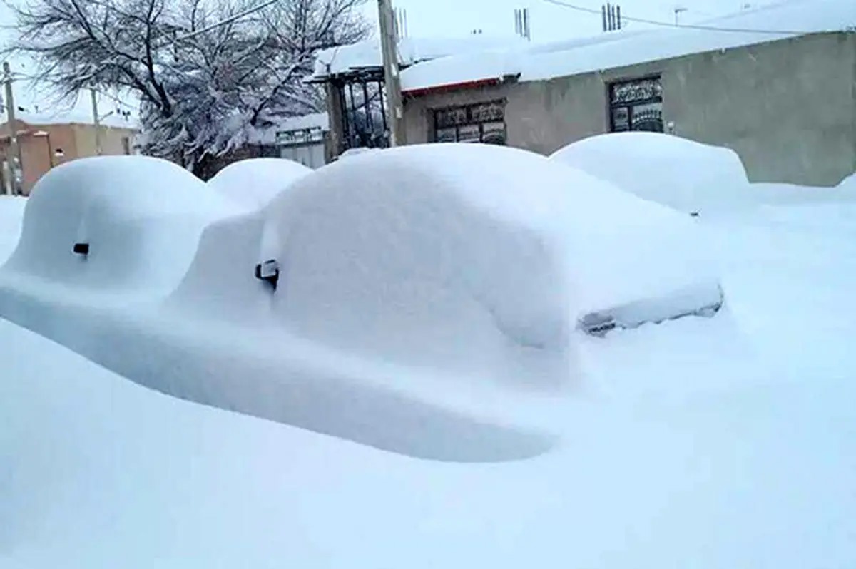 این روستا، زیر برف ناپدید شد/ ویدئو
