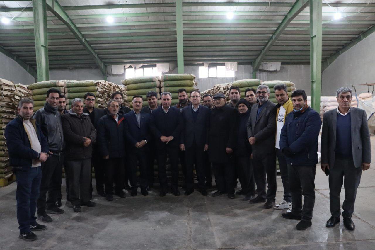 ‍ آغاز فرآیند تجمیع بذر ذرت رقم۷۰۴ تولیدی سال۱۴۰۳ شرکتهای تولیدکننده دشت مغان