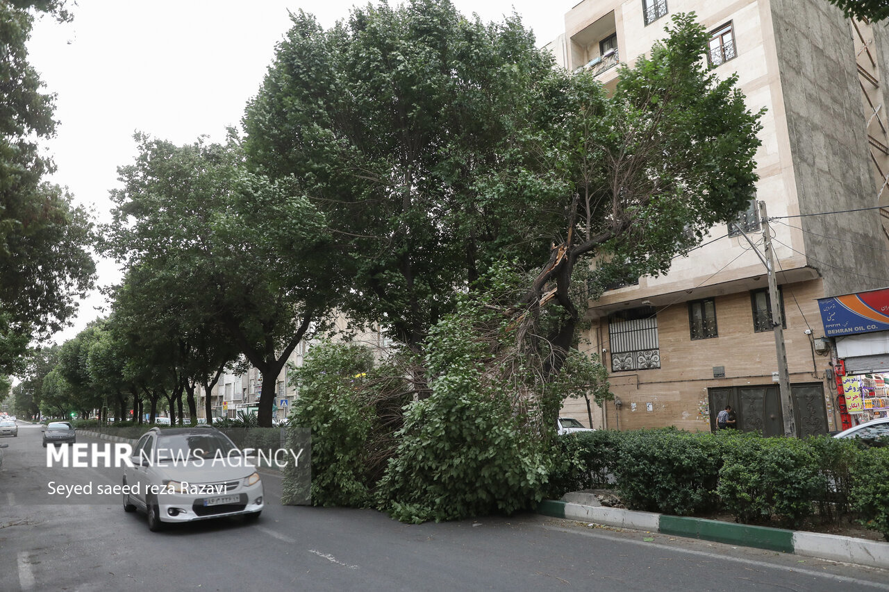 سرعت وزش باد در اردبیل به ۱۰۰ کیلومتر برساعت می‌رسد