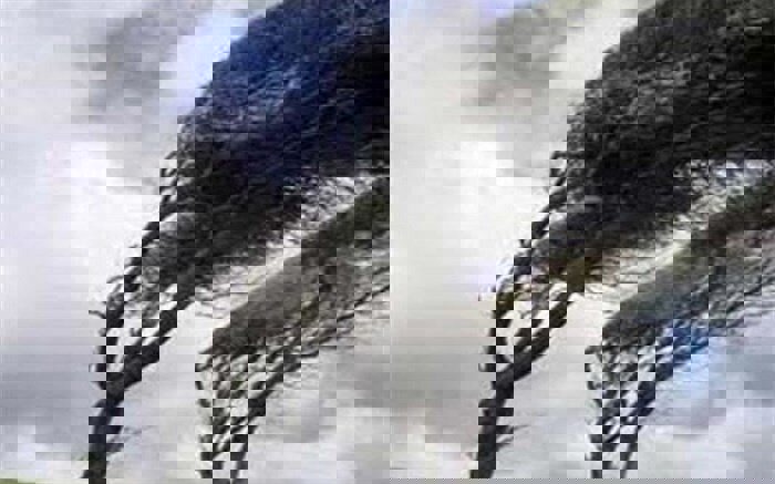 تندباد ۹۴ کیلومتری اردبیل را در نوردید