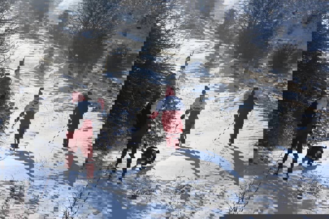 ادامه جستجو برای نوجوان مفقودشده در فندقلوی اهر