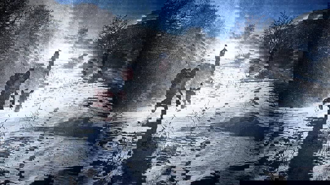 جودی: پیکر نوجوان گمشده در ارتفاعات اهر پس از پنج روز پیدا شد