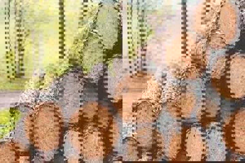 اللهیاری: ۲ تن چوب جنگلی قاچاق در اردبیل کشف شد