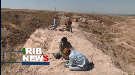 شناسایی سایت فسیلی جدید در مراغه