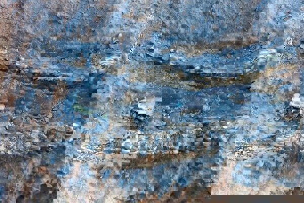 سایت فسیلی جدید در مراغه شناسایی شد