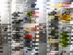 راه حل های رایج مشکلات یخچال و نگهداری آن