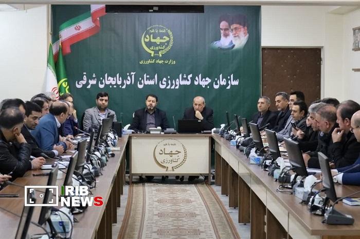 تسهیل صادرات تخم‌مرغ برای حمایت از تولیدکنندگان آذربایجان شرقی