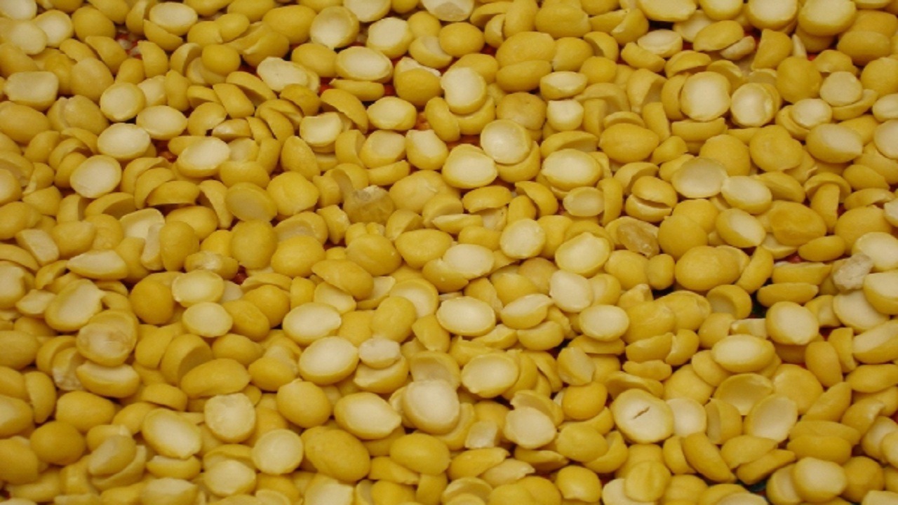 کشف ۲۰ تن لپه فاسد در آذرشهر