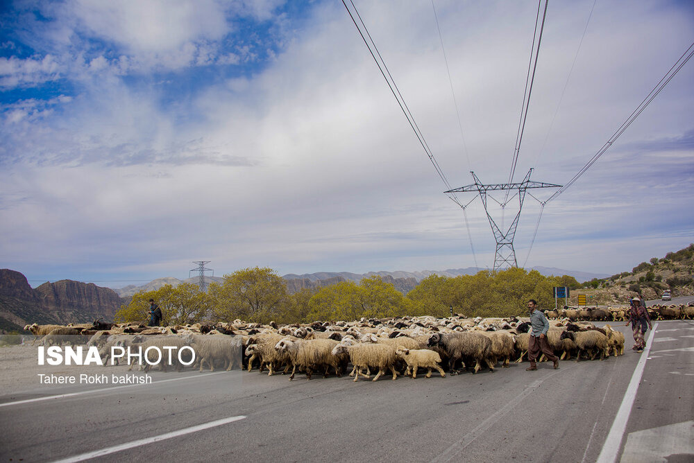 ۷۵۰ کیلومتر از ایلراه‌های آذربایجان‌غربی مرمت شد