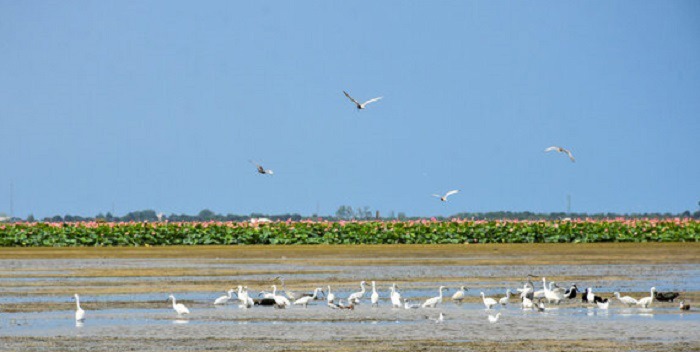 حجم آب تالاب‌های چالدران ۶۰ درصد افزایش یافت
