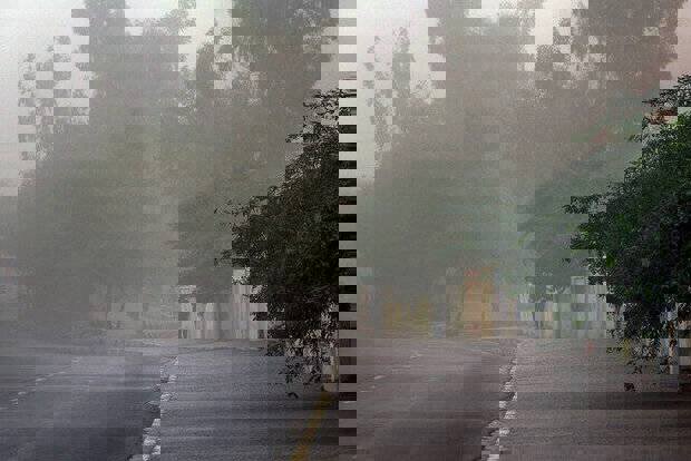 وزش باد شدید استان اردبیل را درنوردید