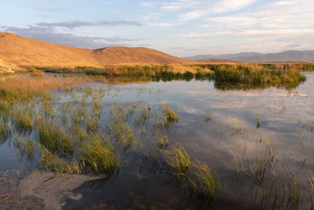 ارتقای جایگاه تالاب سولدوز نقده در دستور کار است