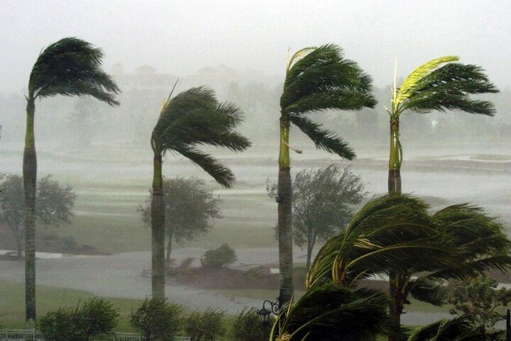 وزش باد شدید استان را فرا می‌گیرد