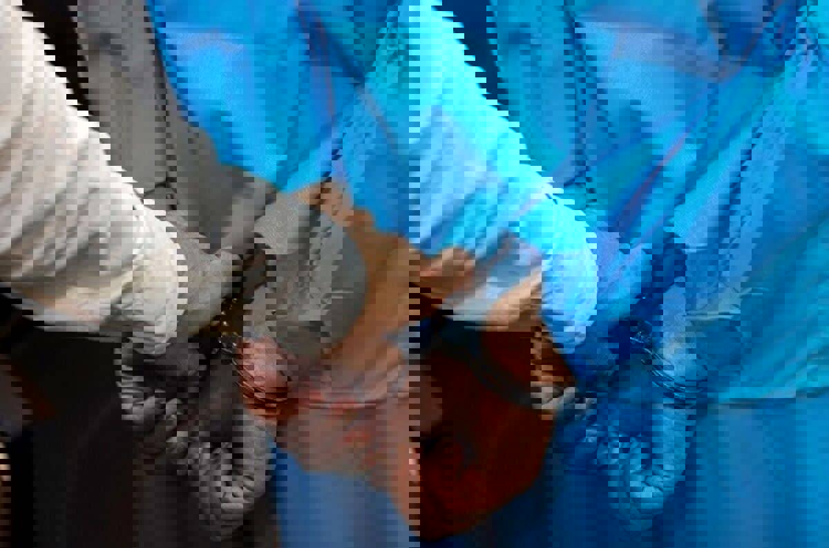 دستگیری سارقین طلا و جواهرات در تبریز