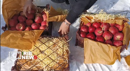 تمرین نظارت قرنطینه‌ای و عملیات سرمادهی سیب در مراغه