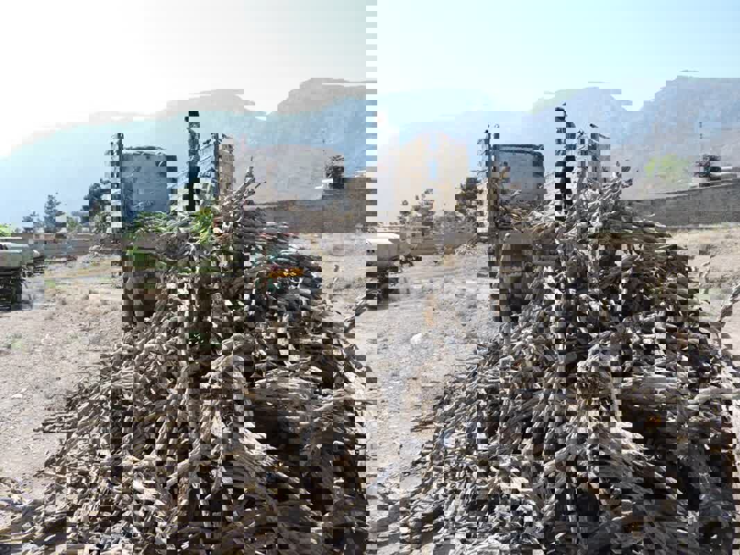 هدایت: محموله چوب غیرمجاز در محور نمین - اردبیل توقیف شد