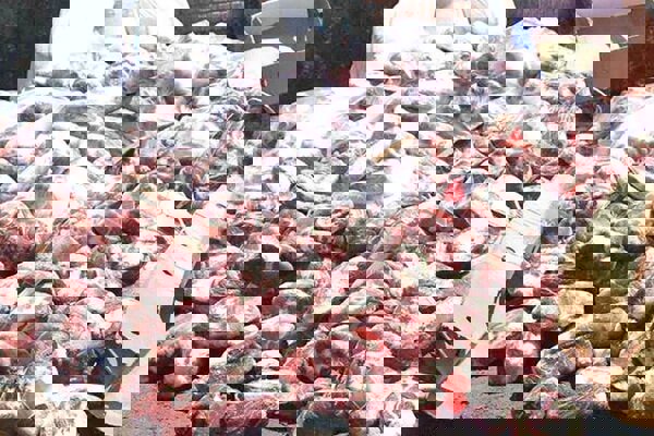 حضرتی: ۱۳ تن گوشت و محصولات پروتئینی فاسد در تبریز کشف شد