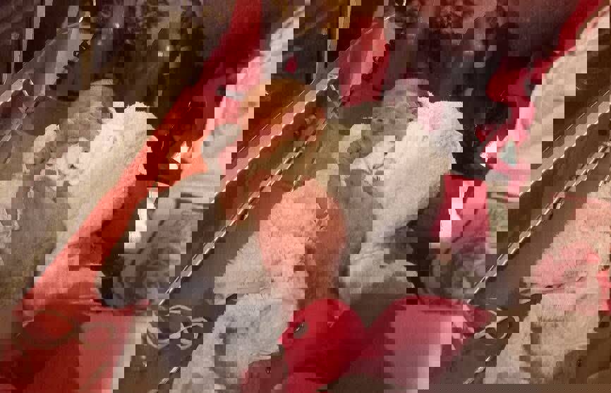 نجات جان نوزاد ۱۰ روزه در بستان‌آباد با اقدام فوری نجاتگران هلال‌احمر