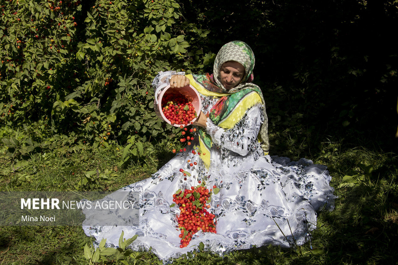 کلیبر؛ روایت رنگ و طعم در قلب ارسباران
