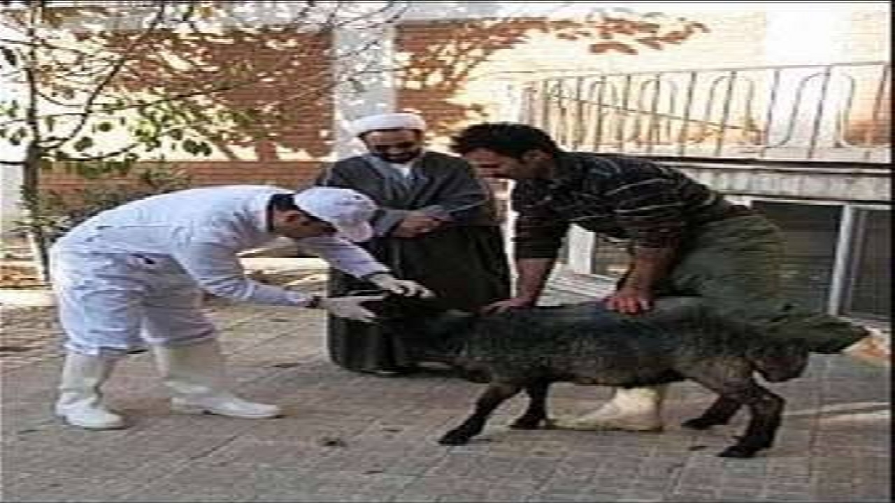 پیام آذری
