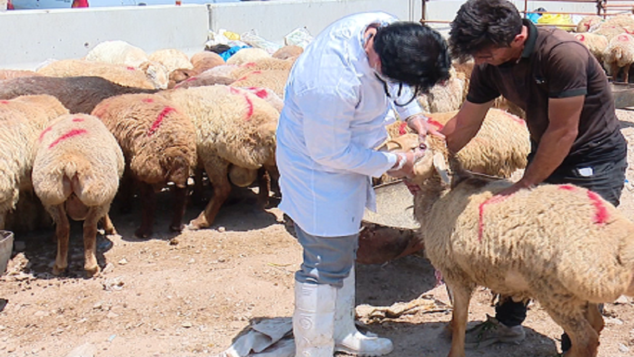پیام آذری