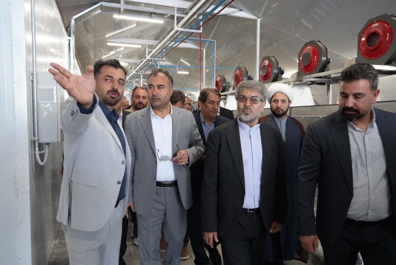 ایجاد زنجیره ارزش برای ۲۶ هزار تن محصول کشاورزی در باروق