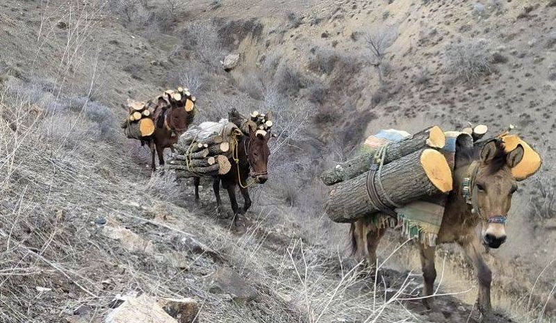 پیام آذری