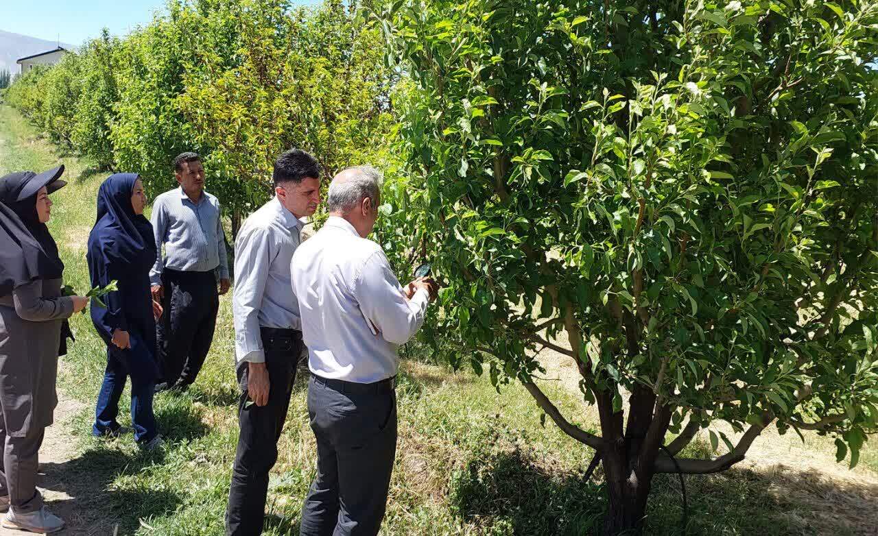 پیام آذری