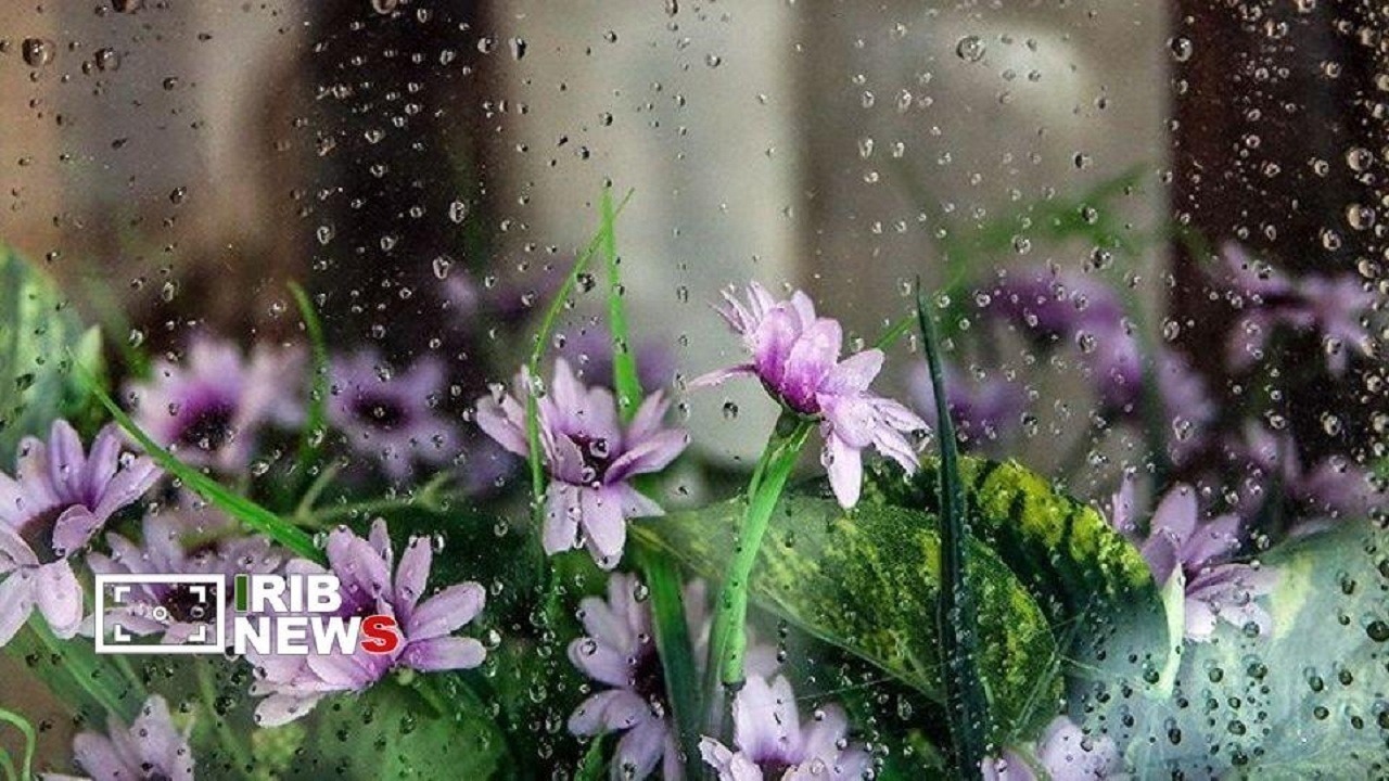 تداوم فعالیت سامانه بارشی در آذربایجان شرقی