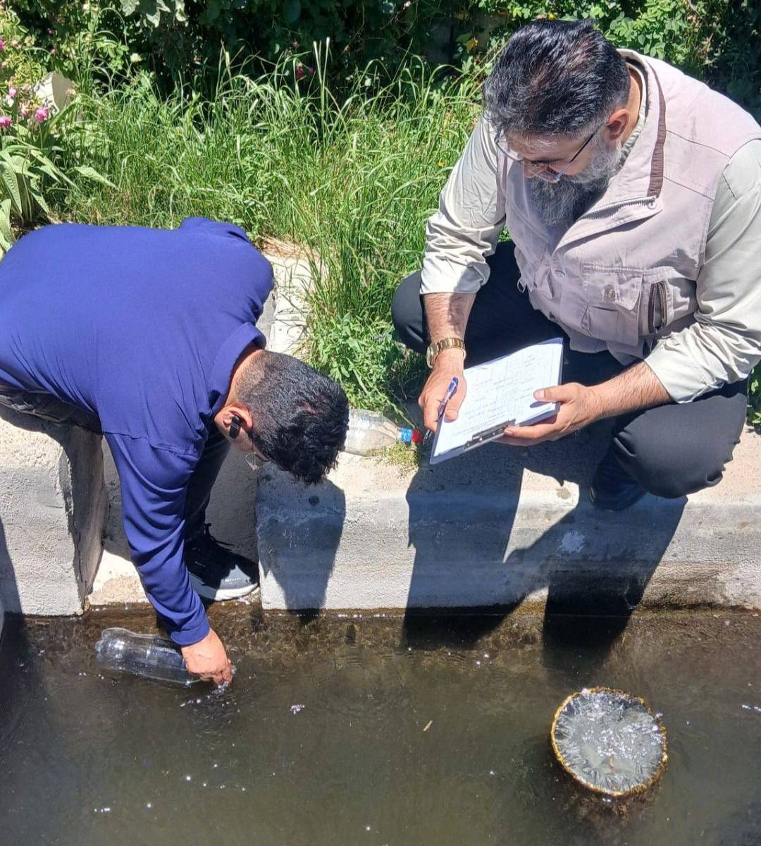 پیام آذری