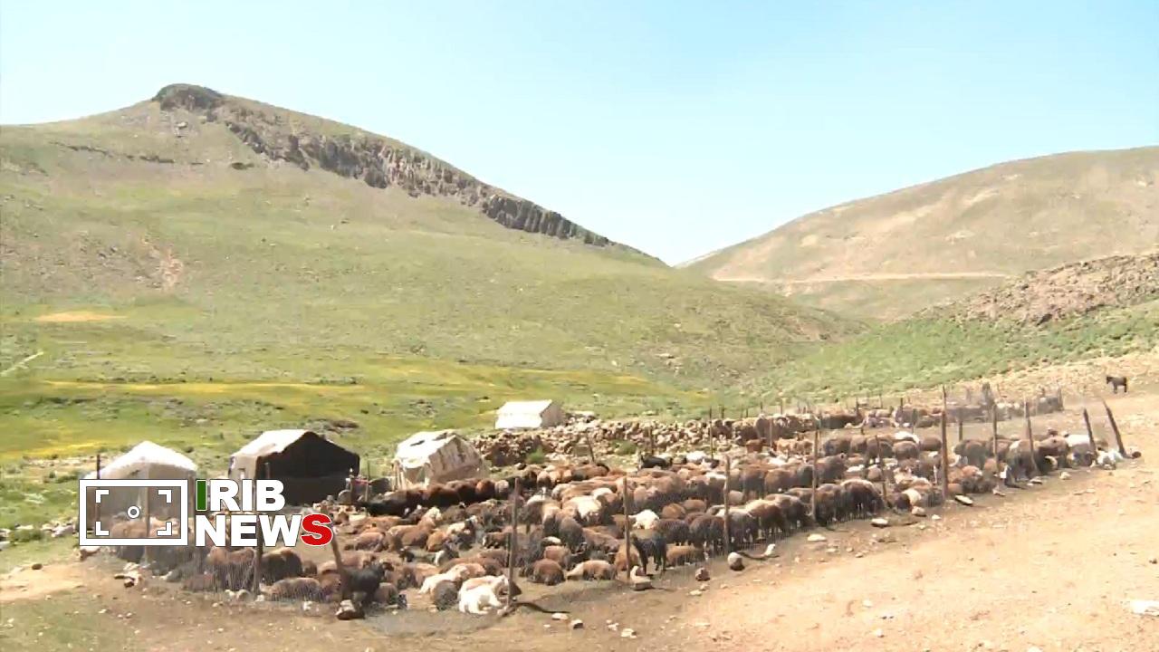 پیام آذری