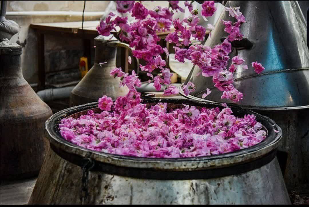 پیام آذری