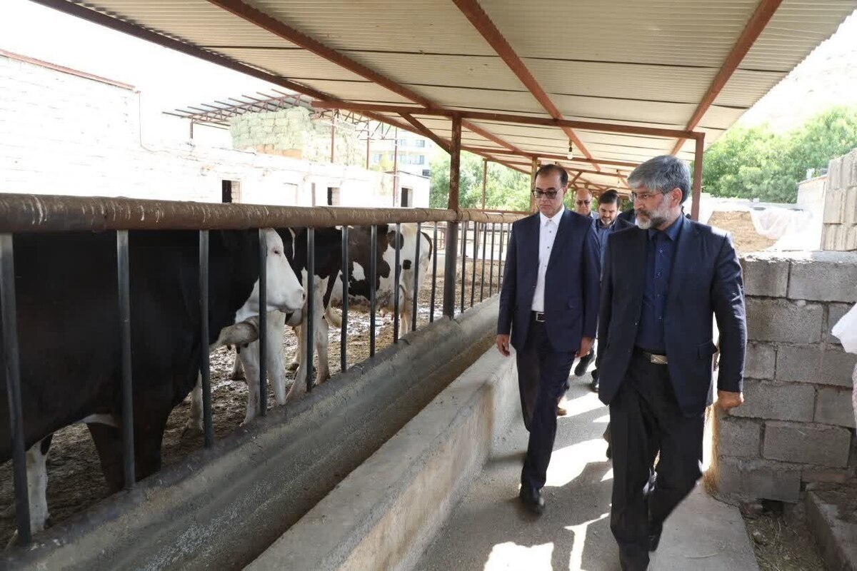 پیام آذری