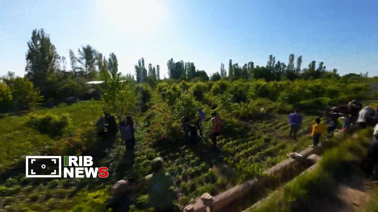 پیام آذری