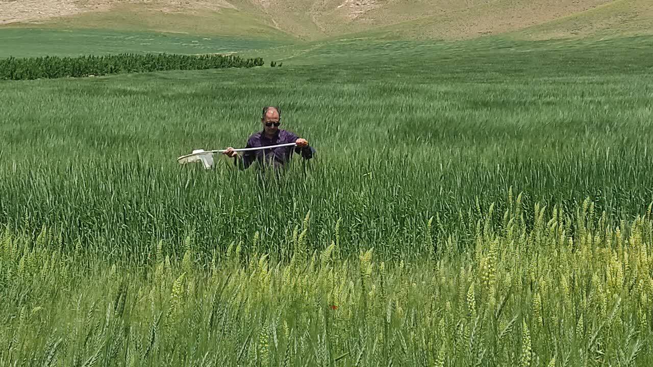پیام آذری