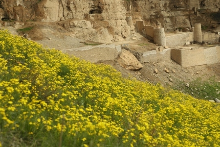 پیام آذری