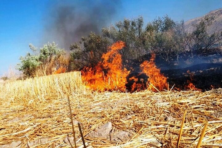 پیام آذری