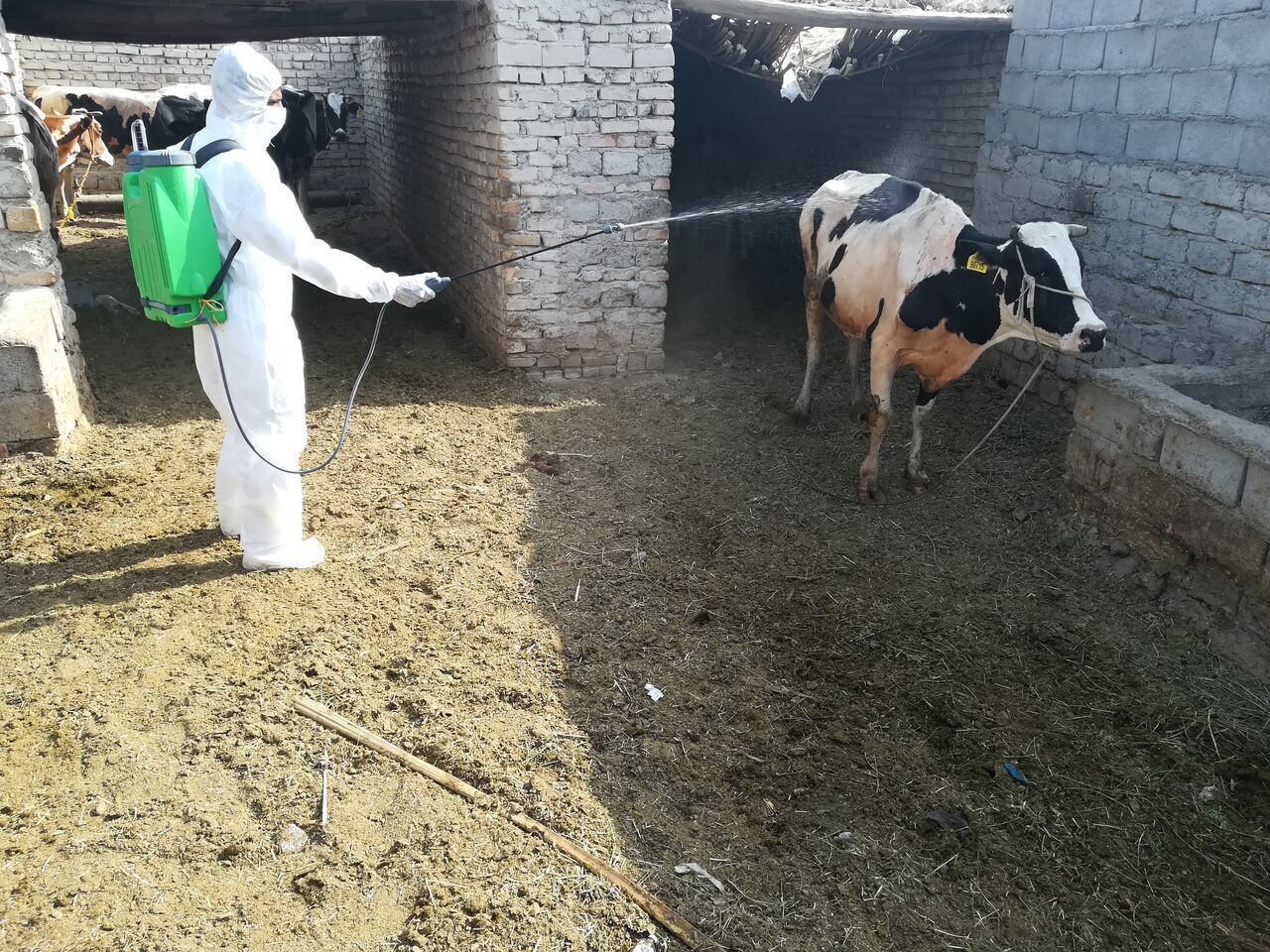 پیام آذری