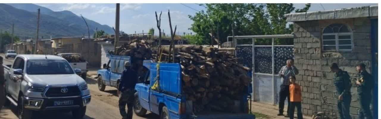 کشف و ضبط بیش از ۴ تن چوب جنگلی قاچاق در پیرانشهر