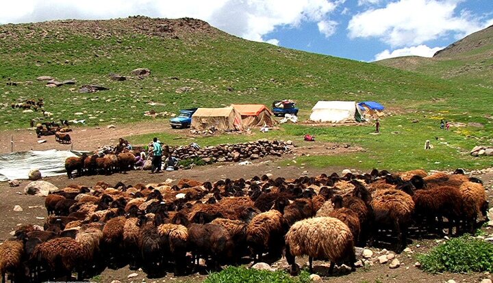 پیام آذری