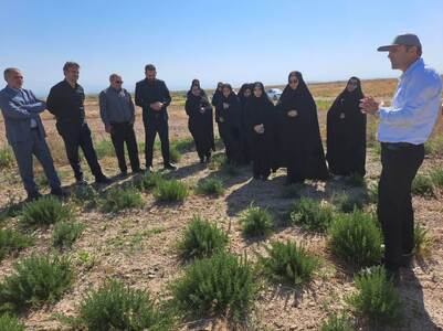 پیام آذری
