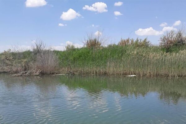 پیام آذری