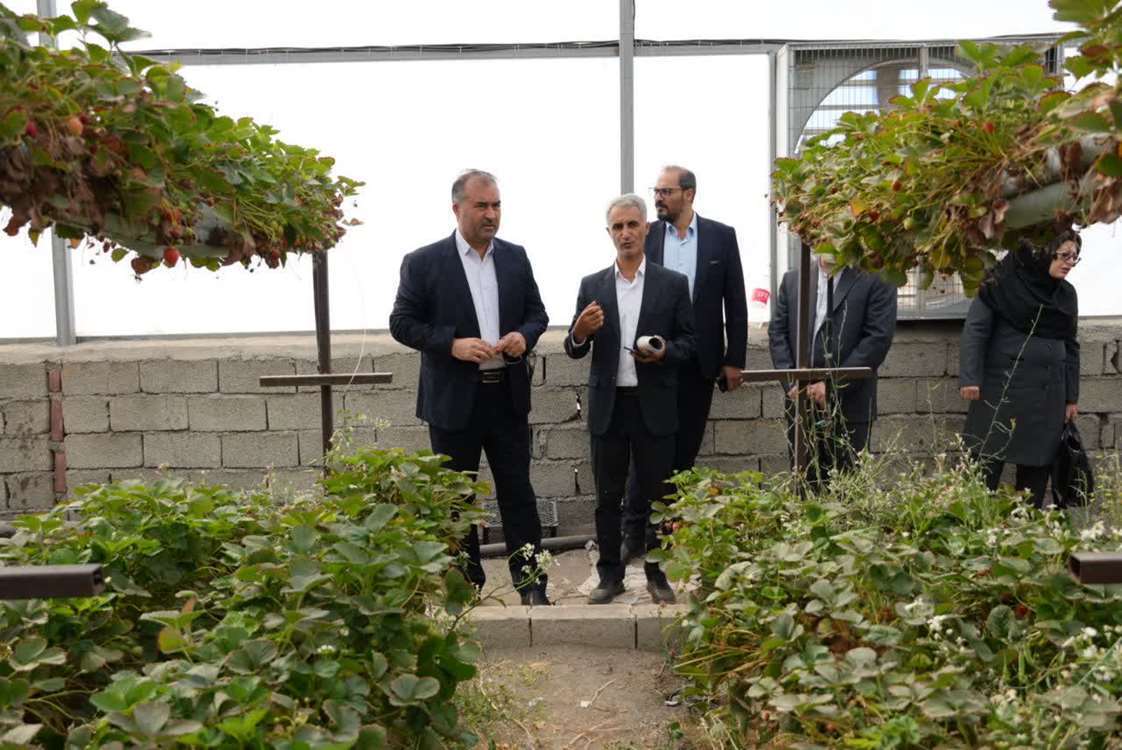 پیام آذری
