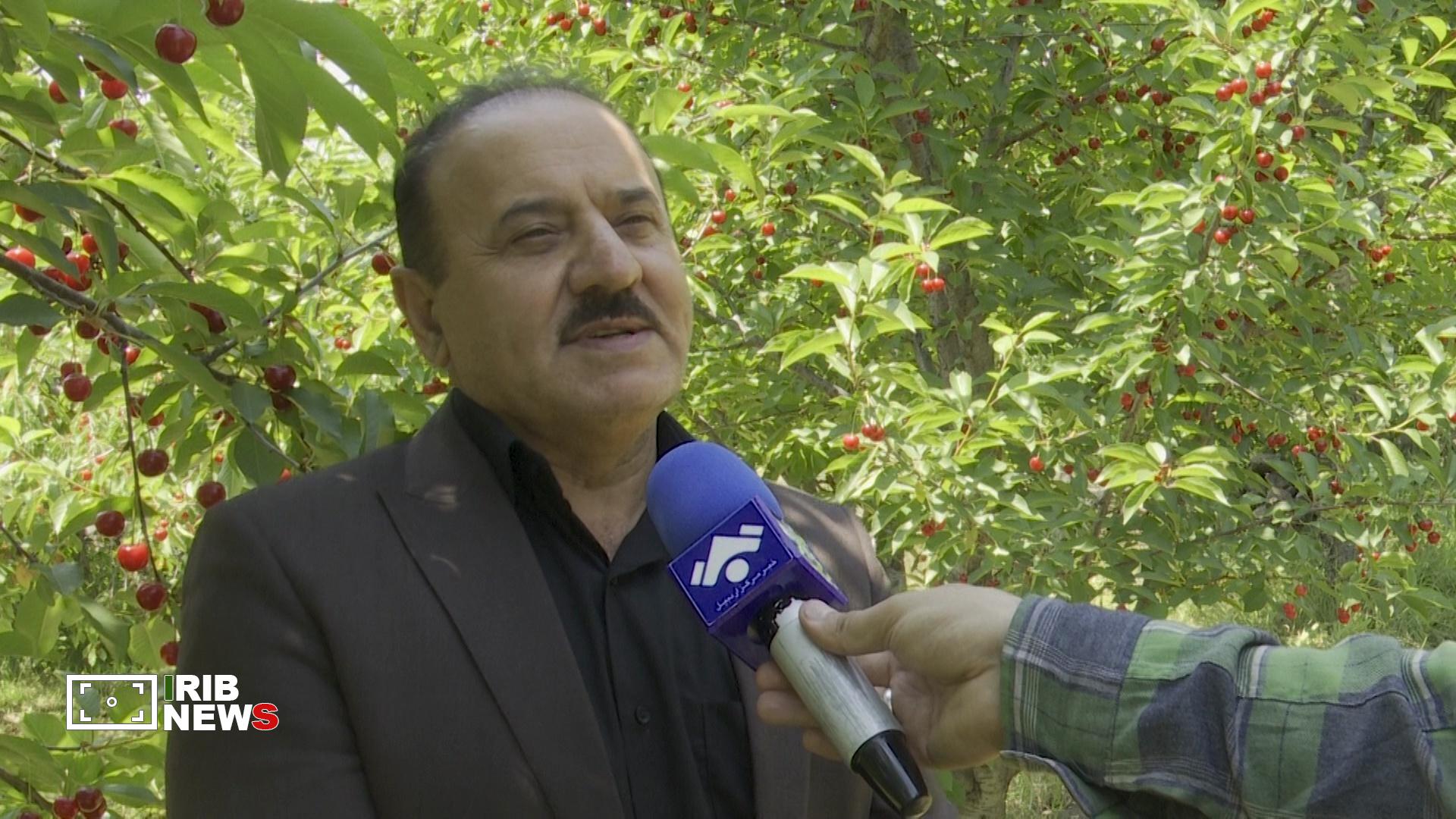 پیام آذری